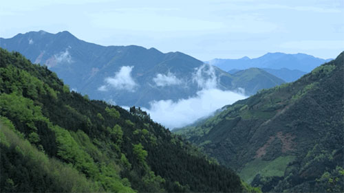 图片-8.jpg 图片-8.jpg