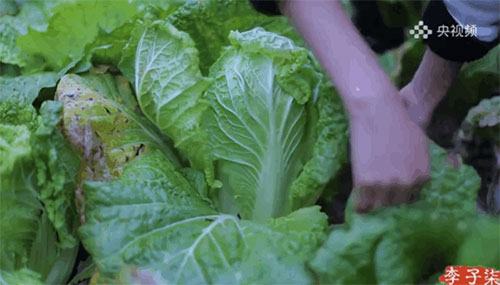 图片-10.jpg 图片-10.jpg