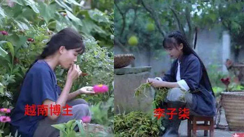 图片-15.jpg 图片-15.jpg