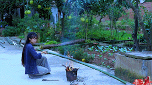 图片-3.jpg 图片-3.jpg