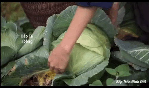 图片-9.jpg 图片-9.jpg