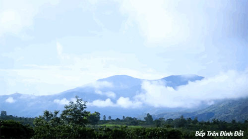 图片-7.jpg 图片-7.jpg