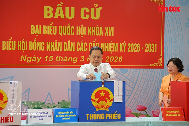 越南国会主席、国家选举委员会主席陈青敏在胡志明市旭门乡第14号投票站行使公民权利。图自越通社